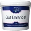 Protexin Equine Gut Balancer - 7kg