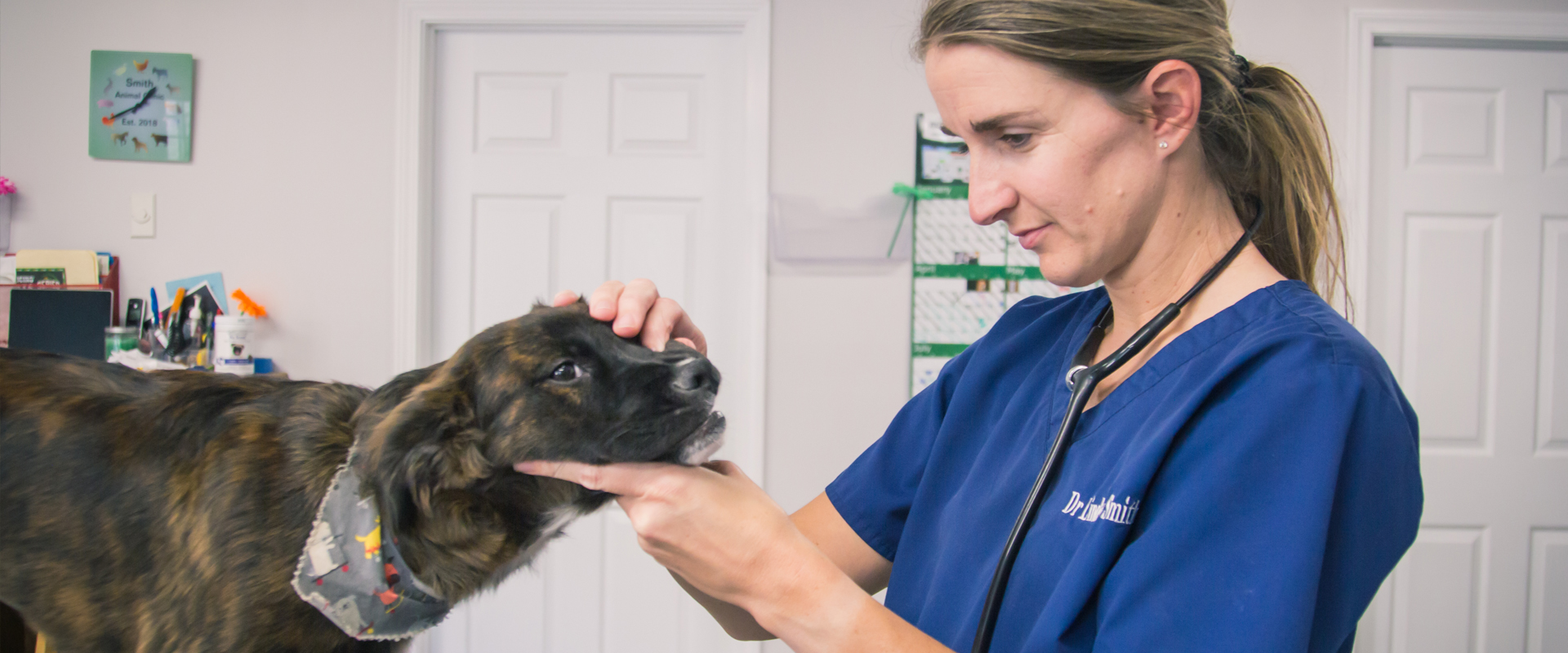 Front Page -Healthy Pets Shop Slider1