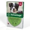 Advantage 250 -Healthy Pets Shop advantage 250 new