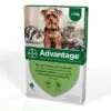 Advantage 40 -Healthy Pets Shop advantage 40 new