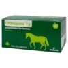 Chanazone Oral Power For Horses -Healthy Pets Shop chanazone for horses cha097