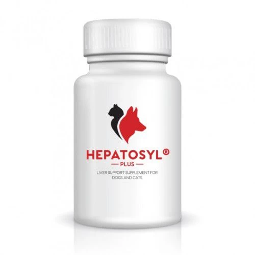 Hepatosyl Plus 100mg - 90 Capsules 3 Hepatosyl Plus 100mg - 90 Capsules