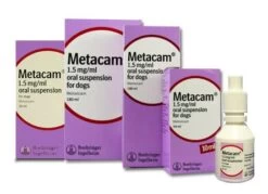 Metacam Oral Suspension For Dogs - 100ml