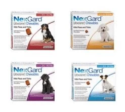 NexGard Chewable Tablets For Dogs <4kg - 3 Pack