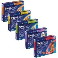 NexGard Spectra For Medium Dogs (7.5 - 15kg) - 3 Pack