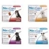 NexGard Chewable Tablets For Dogs <4kg - 6 Pack -Healthy Pets Shop nexgard 1