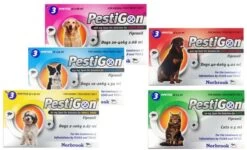 Pestigon For Medium Dogs - 6 Pack