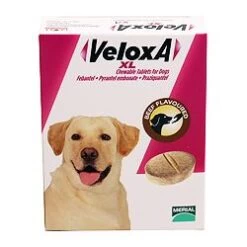 Veloxa XL Chewable Tablets For Dogs